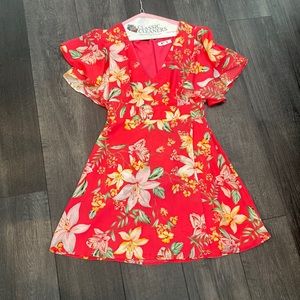 BB Dakota dress (ties in the front). Size Small.